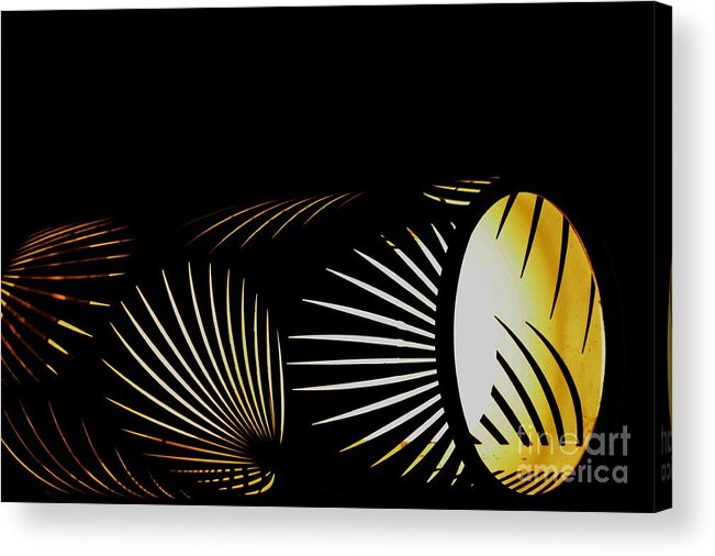 The Palm Frond Light Acrylic Print featuring the photograph The Palm Frond Light by Darla Wood