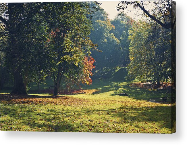 Park Acrylic Print featuring the photograph The park in autumn by Nick Barkworth