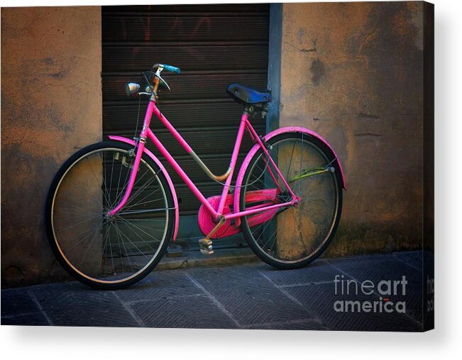 Bicycle Acrylic Print featuring the photograph The Pink Bicycle by Nicola Fiscarelli