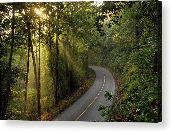 Wood Acrylic Print featuring the photograph The Road Less Traveled by Dan Myers