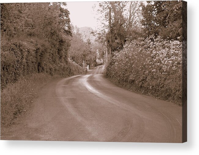 Road Acrylic Print featuring the photograph The Road Most Taken by Lisa Blake
