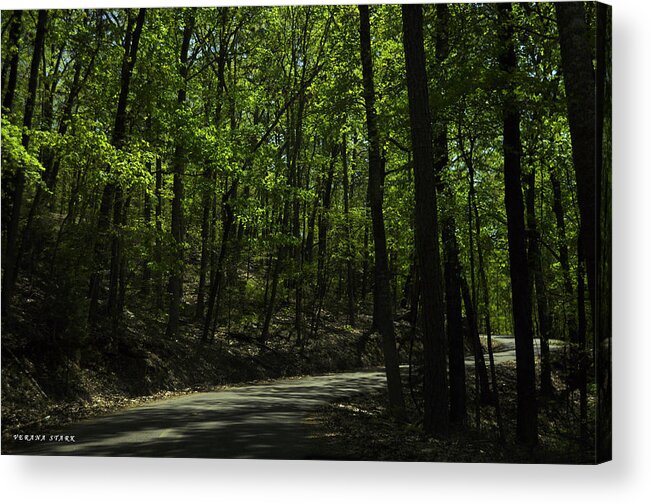 Road Acrylic Print featuring the photograph The Roads of Alabama by Verana Stark