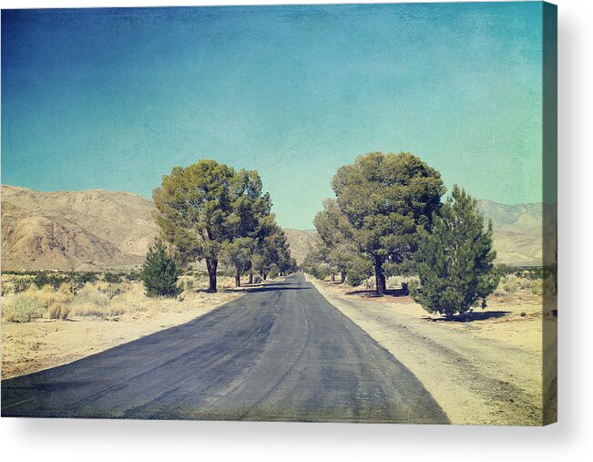  Galleta Meadows Acrylic Print featuring the photograph The Roads We Travel by Laurie Search