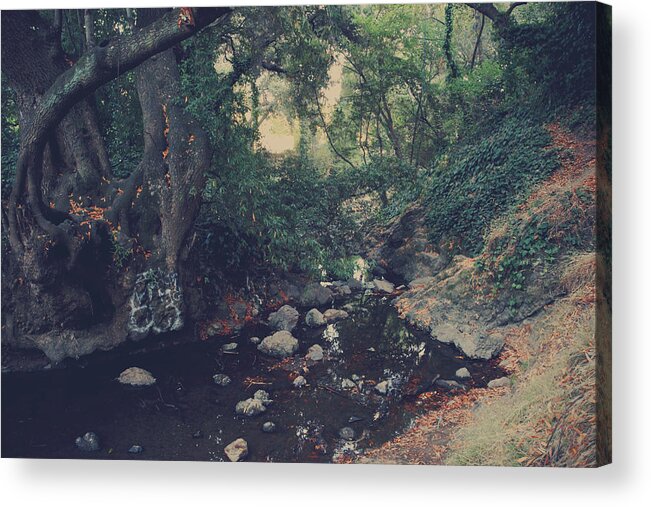 Castro Valley Acrylic Print featuring the photograph The Secret Spot by Laurie Search