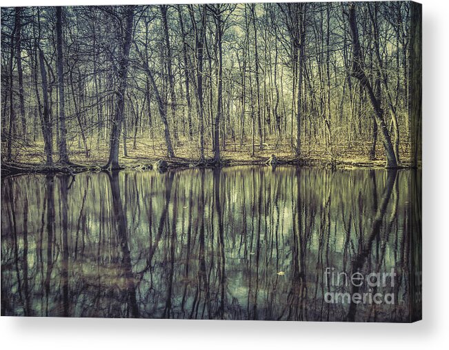 Kremsdorf Acrylic Print featuring the photograph The Sentient Forest by Evelina Kremsdorf