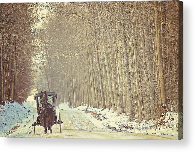 Snow Acrylic Print featuring the photograph The Simple Life by Carrie Ann Grippo-Pike