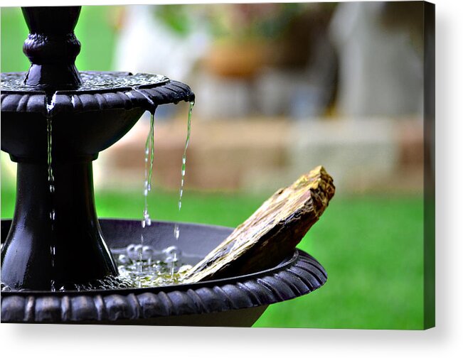 Fountain Acrylic Print featuring the photograph The Sound Of Contentment by Linda Cox