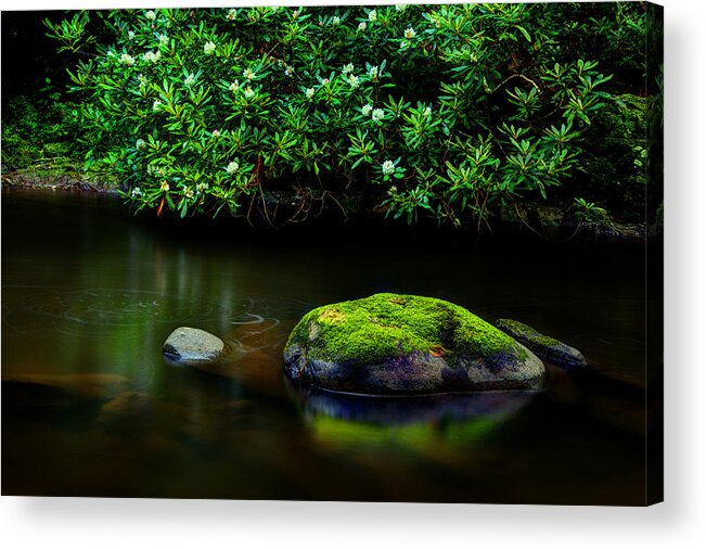 Quiet River Scene Acrylic Print featuring the photograph The Stream's Embrace by Michael Eingle
