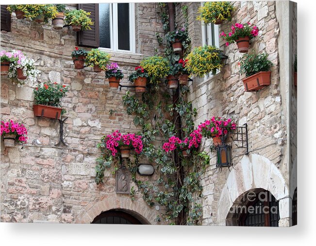 Flower Acrylic Print featuring the photograph The Streets of Assisi 2 by Theresa Ramos-DuVon