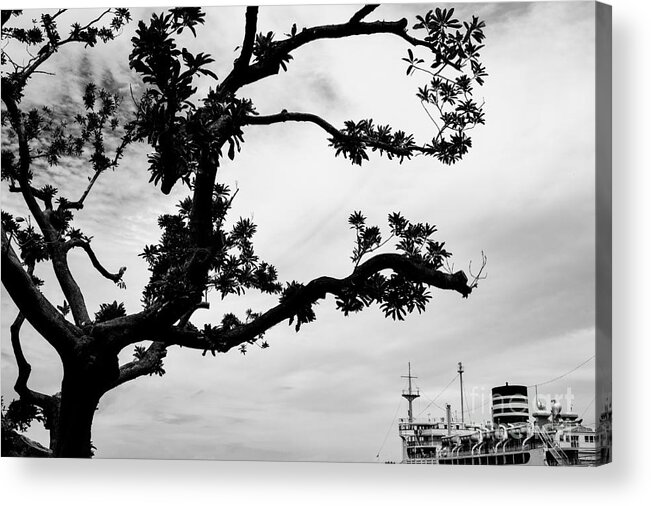 Tree Acrylic Print featuring the photograph The Tree and the Boat by Dean Harte