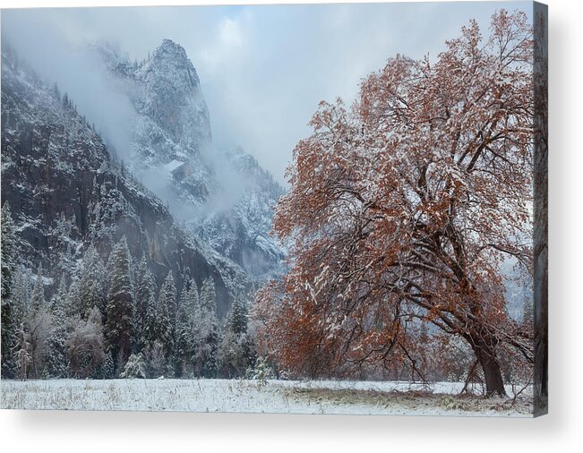 Landscape Acrylic Print featuring the photograph The Two Seasons by Jonathan Nguyen