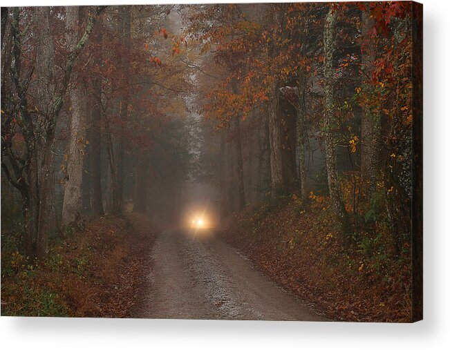 Cades Cove Acrylic Print featuring the photograph The Visitor by Rhonda McClure