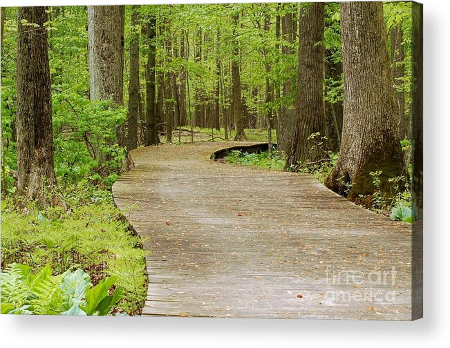 Wooden Path Acrylic Print featuring the photograph The Wooden Path by Patrick Shupert