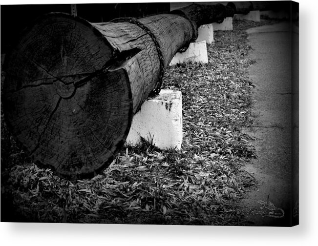 Log Acrylic Print featuring the photograph TheLog by Guy Hoffman