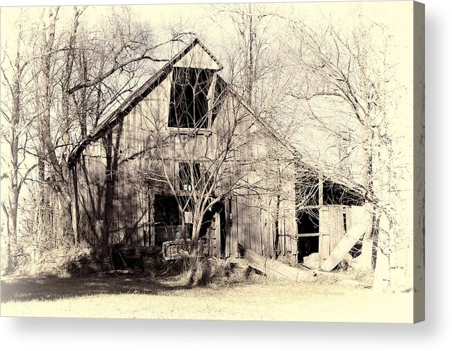 Barn Acrylic Print featuring the photograph This Old Barn by Cricket Hackmann