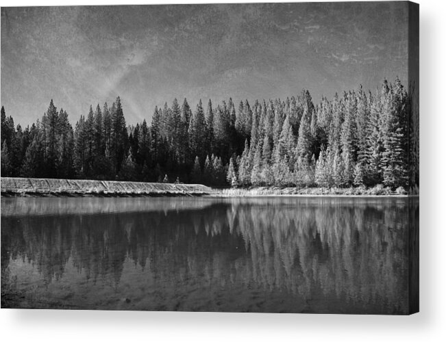 White Pines Lake Community Park Acrylic Print featuring the photograph Those Days Are Gone by Laurie Search
