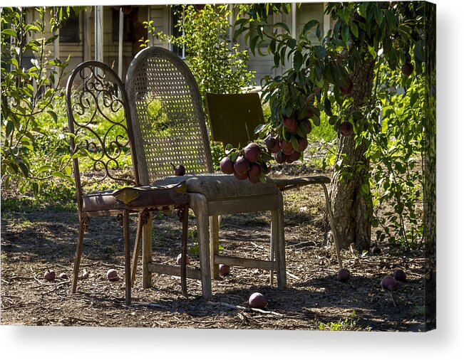 Landscape Acrylic Print featuring the photograph Three Chairs by Bruce Bottomley