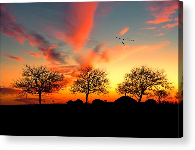 Sunset Acrylic Print featuring the photograph Three Trees In The Park by Cathy Kovarik