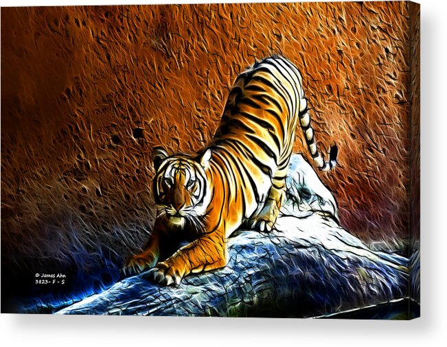 Tiger; Tiger Art; Animals; Animal; Animal Lovers; Wildlife; James Ahn; Rateitart; Fractal Animals; Pop Art; Animal Art; Decor; Home Decor Acrylic Print featuring the digital art Tiger Pounce - Fractal - S by James Ahn