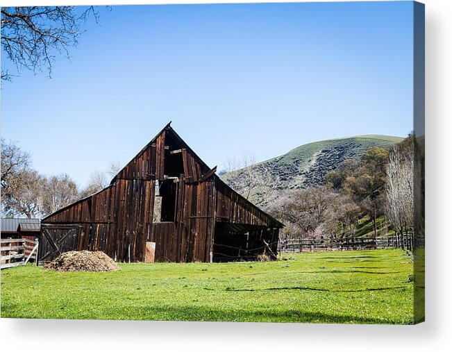 Farm Acrylic Print featuring the photograph Tilted Old Barn In Meadow by Dina Calvarese