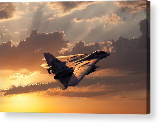 Aviation Acrylic Print featuring the digital art Timeless Beauty Tomcat by Peter Chilelli