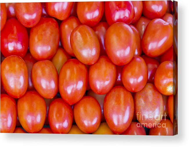 Tomato Acrylic Print featuring the photograph Tomatoes 1 by David Doucot