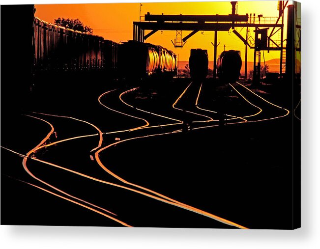 Train Acrylic Print featuring the photograph Trackss by Darcy Dietrich