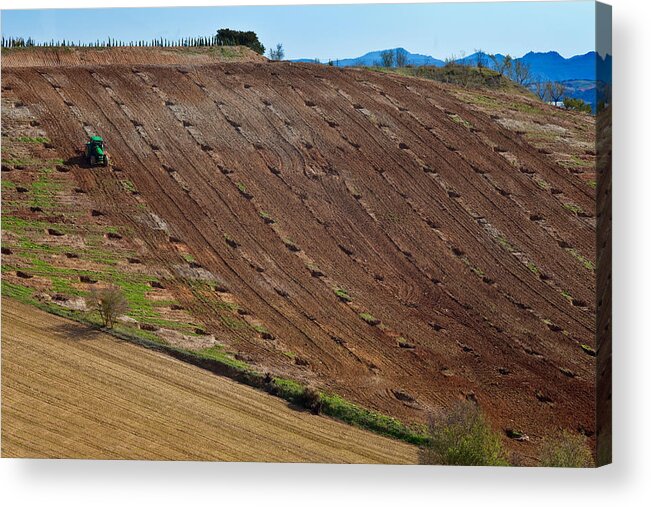 Photography Acrylic Print featuring the photograph Tractor Preparing A Field, Near Alhama by Panoramic Images