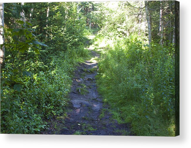 Trail Acrylic Print featuring the photograph Trail to White Head by Jean Macaluso