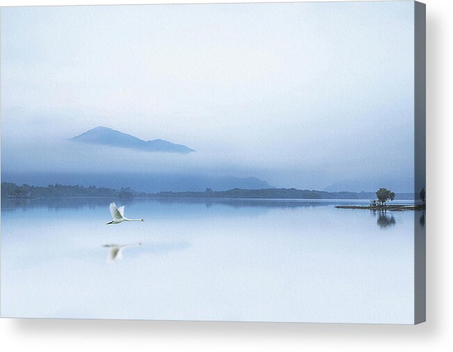 Lake Acrylic Print featuring the photograph Tranquility by Kieran O Mahony