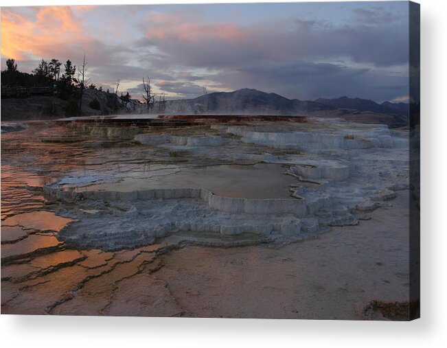 Mammoth Hot Springs Acrylic Print featuring the photograph Travertine Pools at Sunset by Theo OConnor