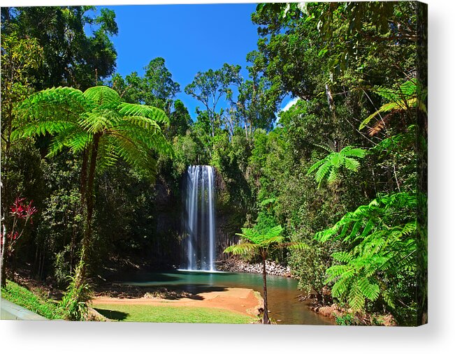 Australia Acrylic Print featuring the photograph Tree Fern And Waterfall In Tropical Rain Forest Paradise by Dirk Ercken