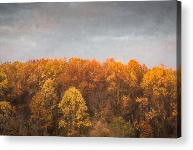 Tree Acrylic Print featuring the photograph Tree Line In Autumn by Gary Slawsky