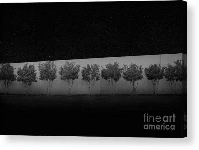 Photography Acrylic Print featuring the photograph Treeline by Sebastian Mathews Szewczyk