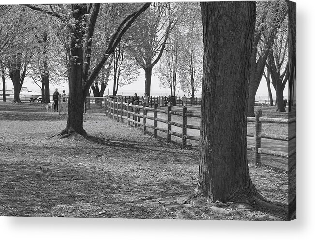 Parkland Acrylic Print featuring the photograph Trees in an Urban Park by Nicky Jameson