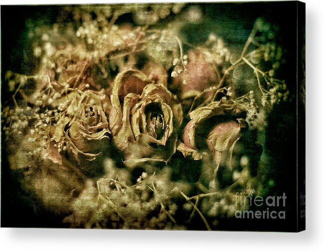 Roses Acrylic Print featuring the photograph True Love Never Dies by Lois Bryan