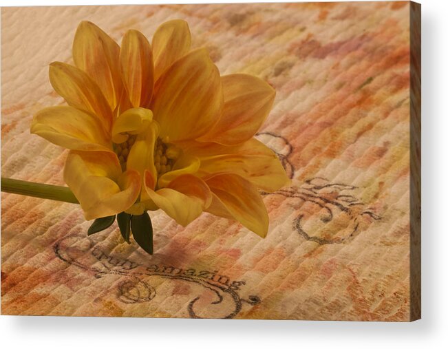 Orange Dahlia Acrylic Print featuring the photograph Truly Amazing by Sandra Foster