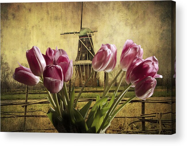 Art Acrylic Print featuring the photograph Tulips with the DeZwaan Windmill in Holland Michigan No. 105 by Randall Nyhof