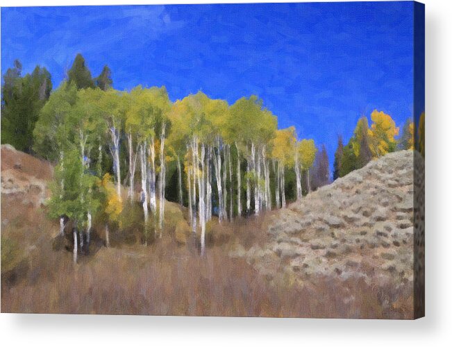 Trees Acrylic Print featuring the photograph Turning Aspens by Clare VanderVeen