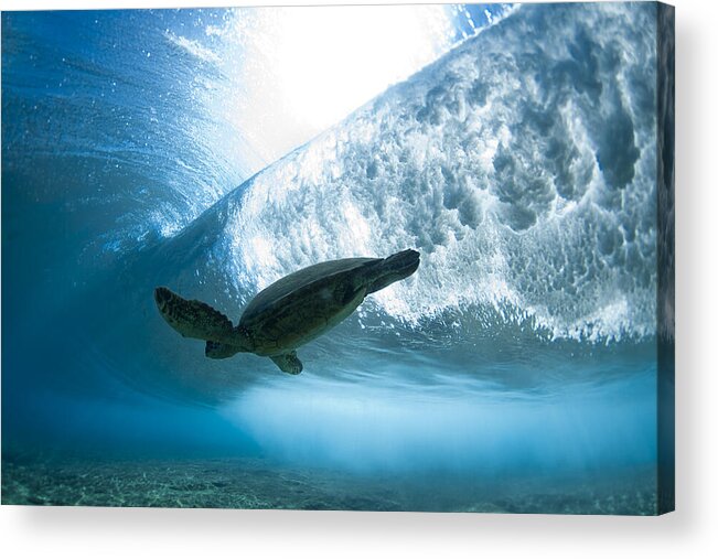 Sea Acrylic Print featuring the photograph Turtle clouds by Sean Davey