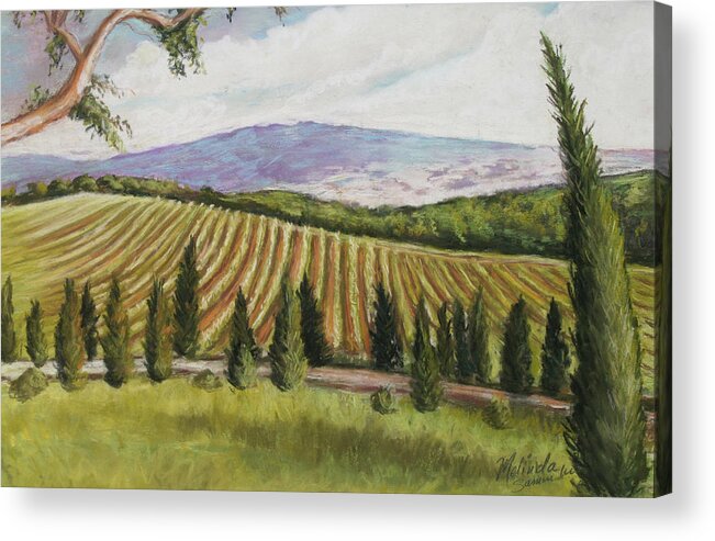 Tuscany Acrylic Print featuring the painting Tuscan Vineyard by Melinda Saminski