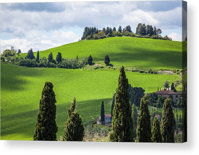 Curve Acrylic Print featuring the photograph Tuscany Landscape by Focusstock