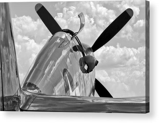 2014 Acrylic Print featuring the photograph Tuskegee Red Tail by Chris Buff