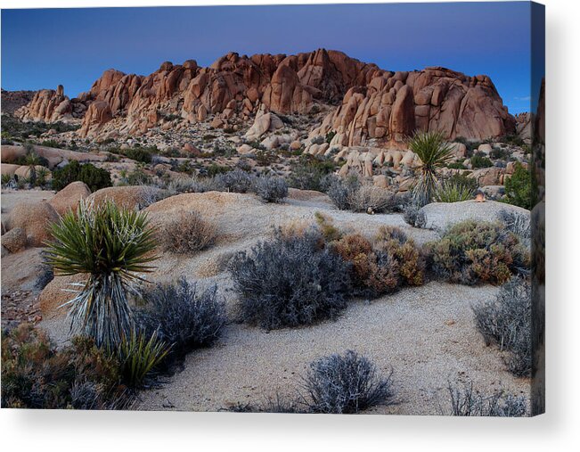 California Acrylic Print featuring the photograph Twilight at Joshua Tree by Eric Foltz