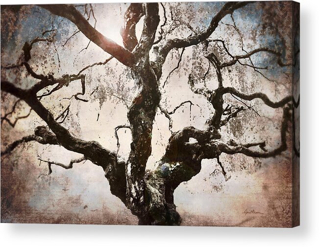 Old Gnarled Tree Acrylic Print featuring the digital art Twisted Tree I by April Moen