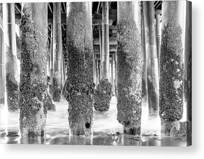 Travel Acrylic Print featuring the photograph Under Stearns Wharf by Good Focused