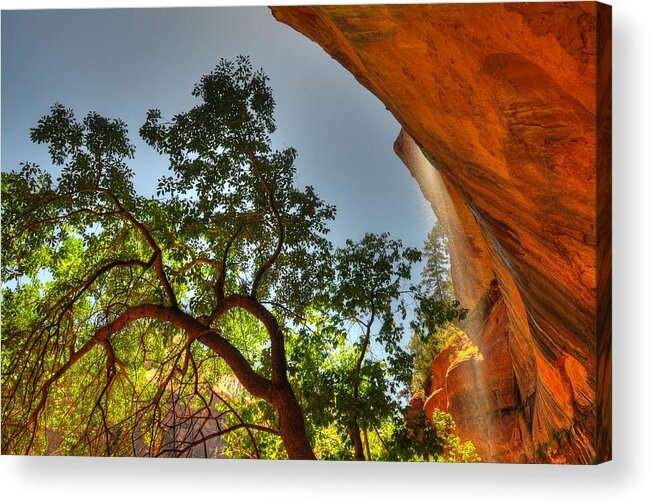 Zion Acrylic Print featuring the photograph Underneath The Emerald Pools - Zion National Park - Utah by Bruce Friedman