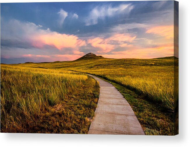 Grass Acrylic Print featuring the photograph University Hill by Posnov