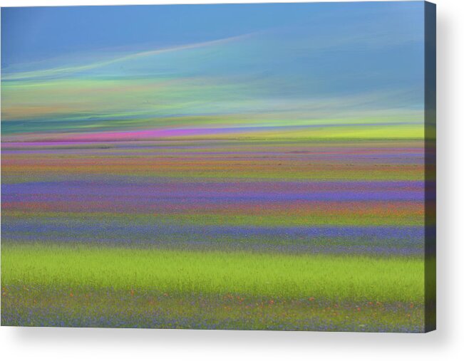 Field Acrylic Print featuring the photograph Untitled by Roberto Marchegiani