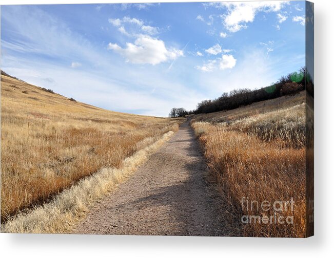  Acrylic Print featuring the photograph Up Hill by Cheryl McClure